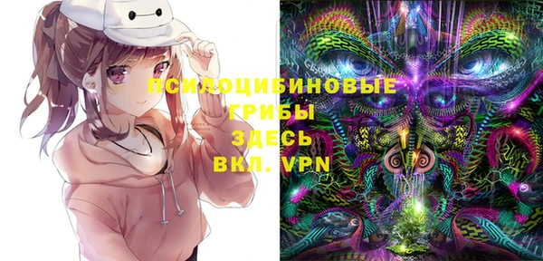 ГАЛЛЮЦИНОГЕННЫЕ ГРИБЫ Балахна