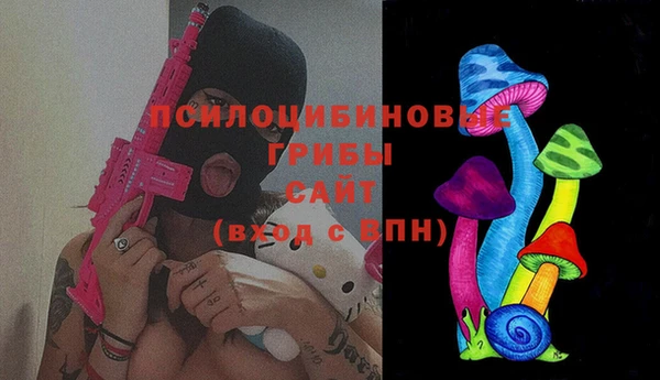 ГАЛЛЮЦИНОГЕННЫЕ ГРИБЫ Балахна