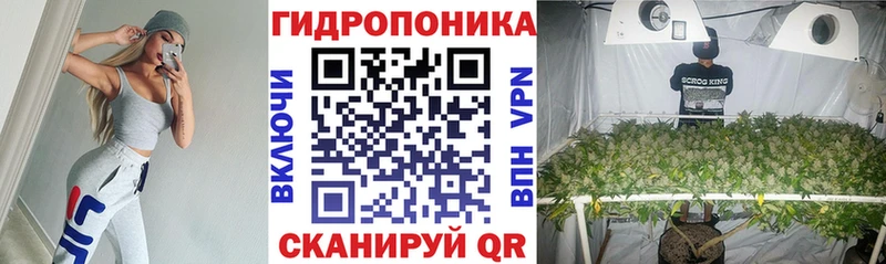 Бошки Шишки семена Ливны